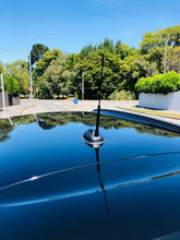 Load image into Gallery viewer, whip rod screw on replacement car vehicle radio antenna for bmw mini cooper | marketzone christchurch