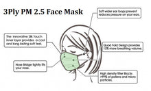 Load image into Gallery viewer, pm 2.5 3ply designer face mask with ear loop | marketzone christchurch