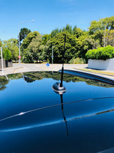 Load image into Gallery viewer, whip rod screw on replacement car vehicle radio antenna for bmw mini cooper | marketzone christchurch
